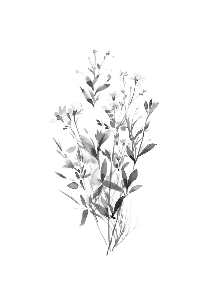 Black And White Flowers 72