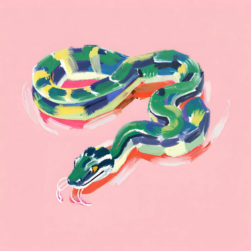 King Snake 03