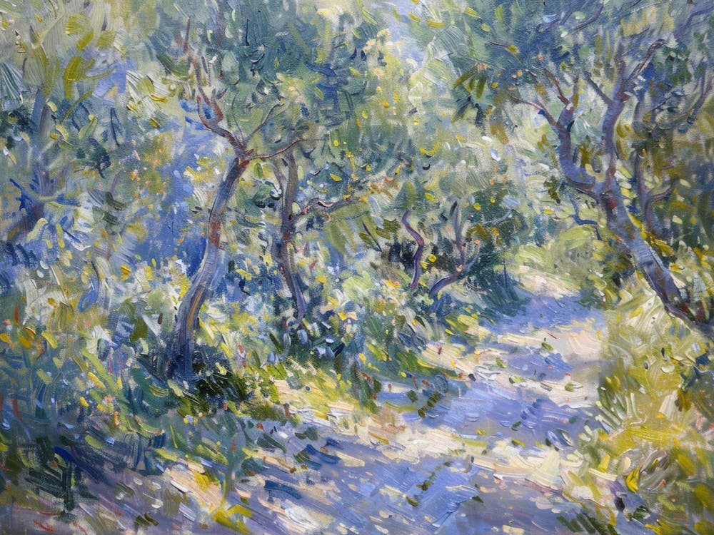 Olive Trees