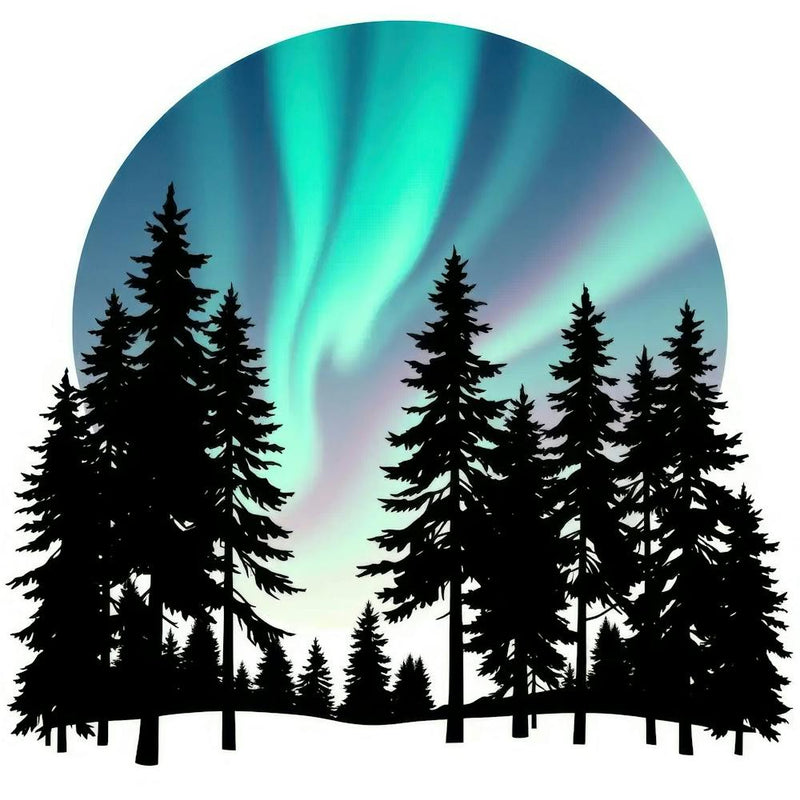 Aurora Borealis 31