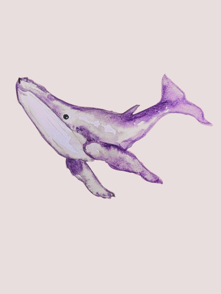 Purple Whale 1