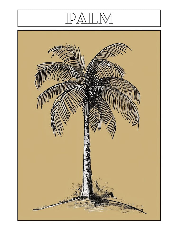 Palm Tree Minimalistic Drawing 2 Poster