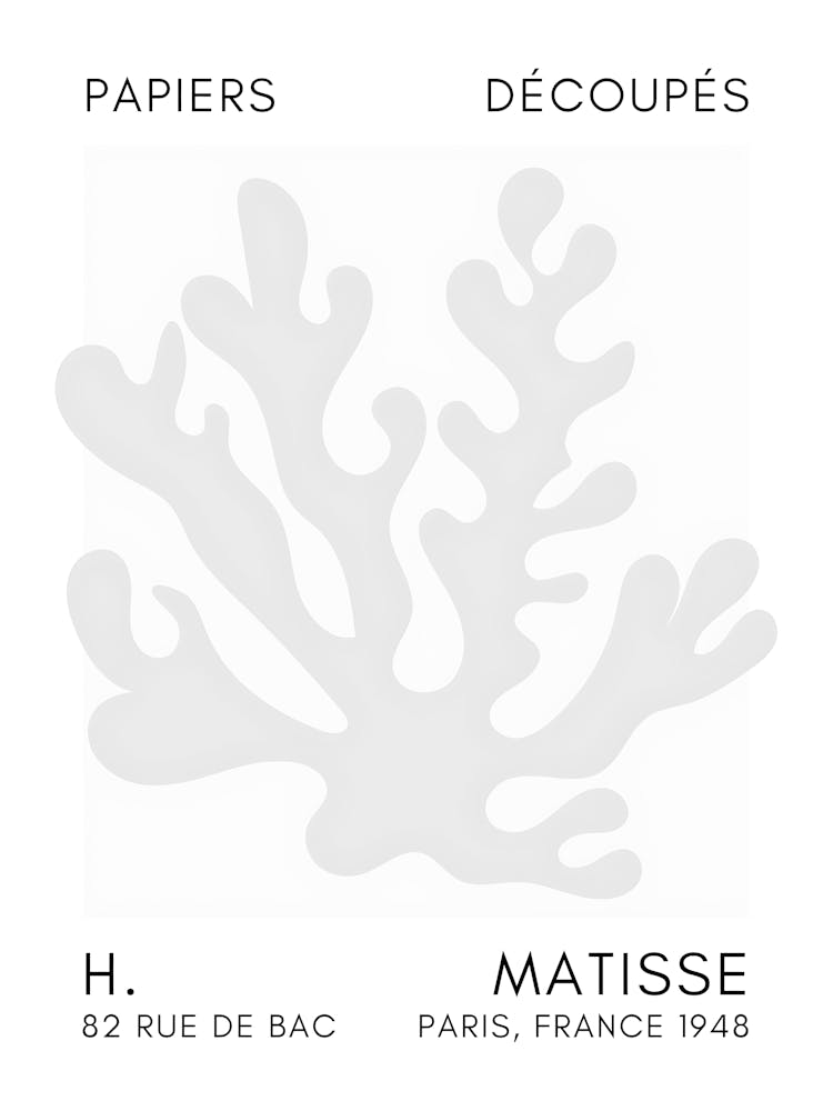 Matisse 36