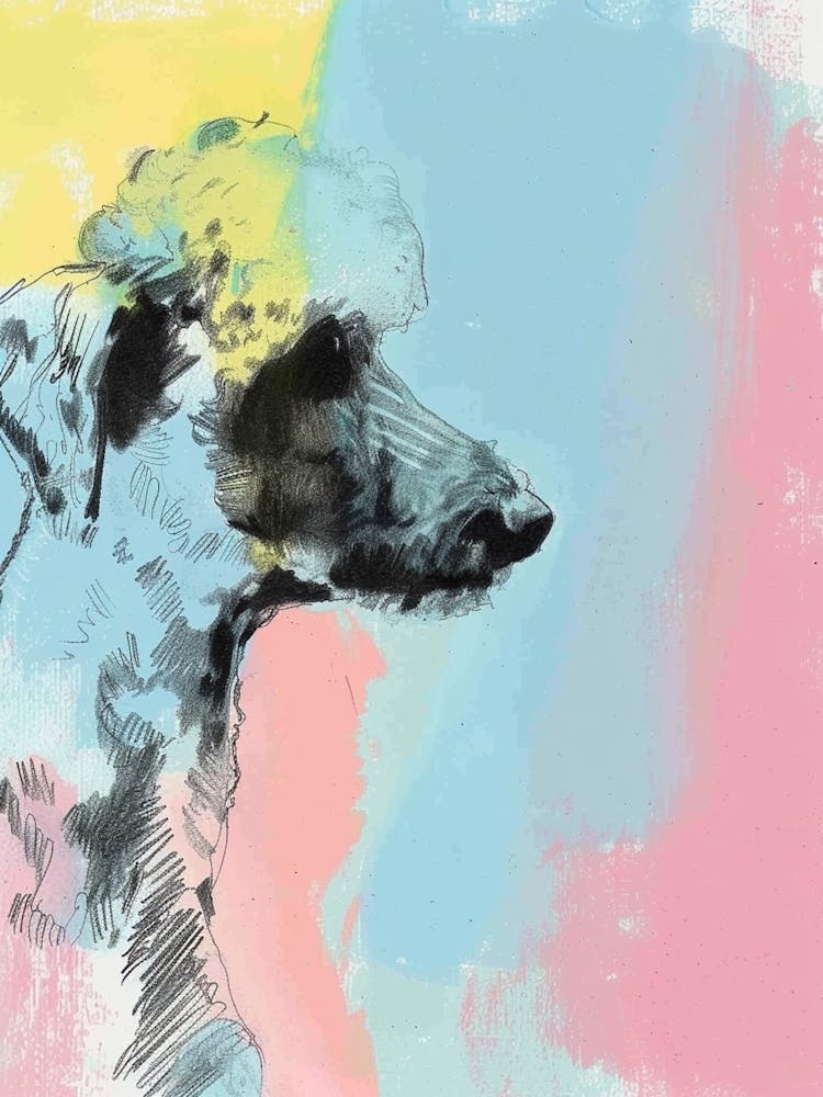 Pudel Hund Pastell-Linie Aquarell-Illustration 3