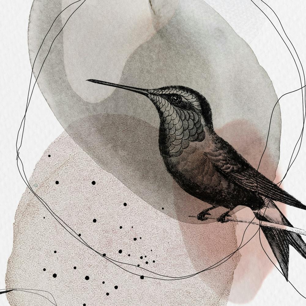 Feathered Friends Hummingbird Brown & Pink Square