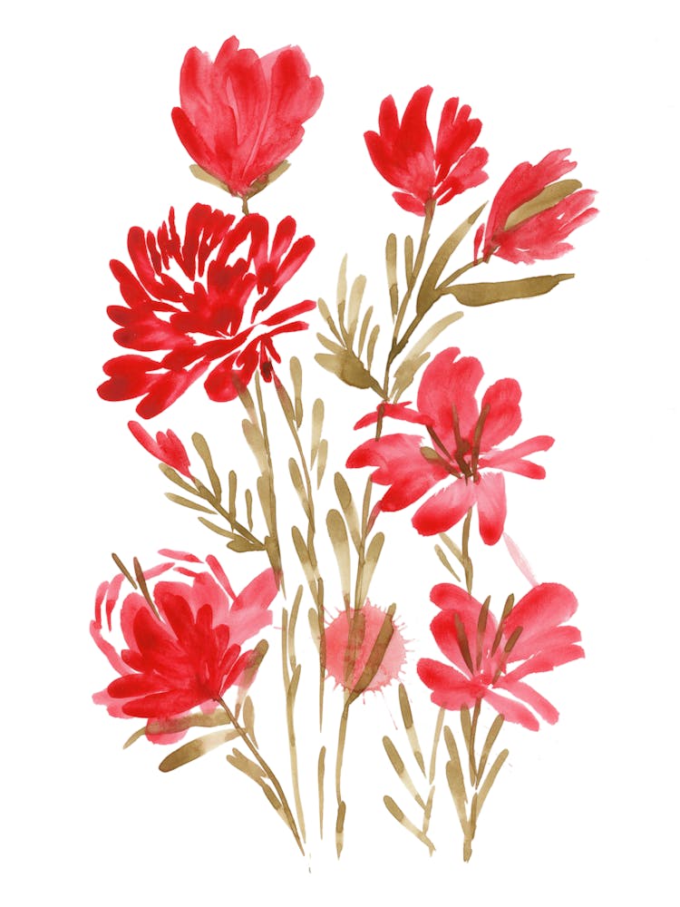 Blooming Red Flowers