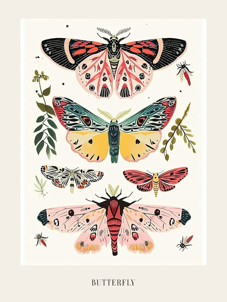 Colourful Insect Illustration Butterfly 4 Poster