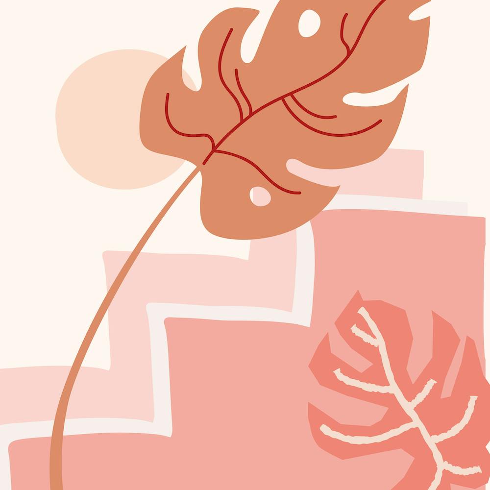 Monstera trifft Sonne