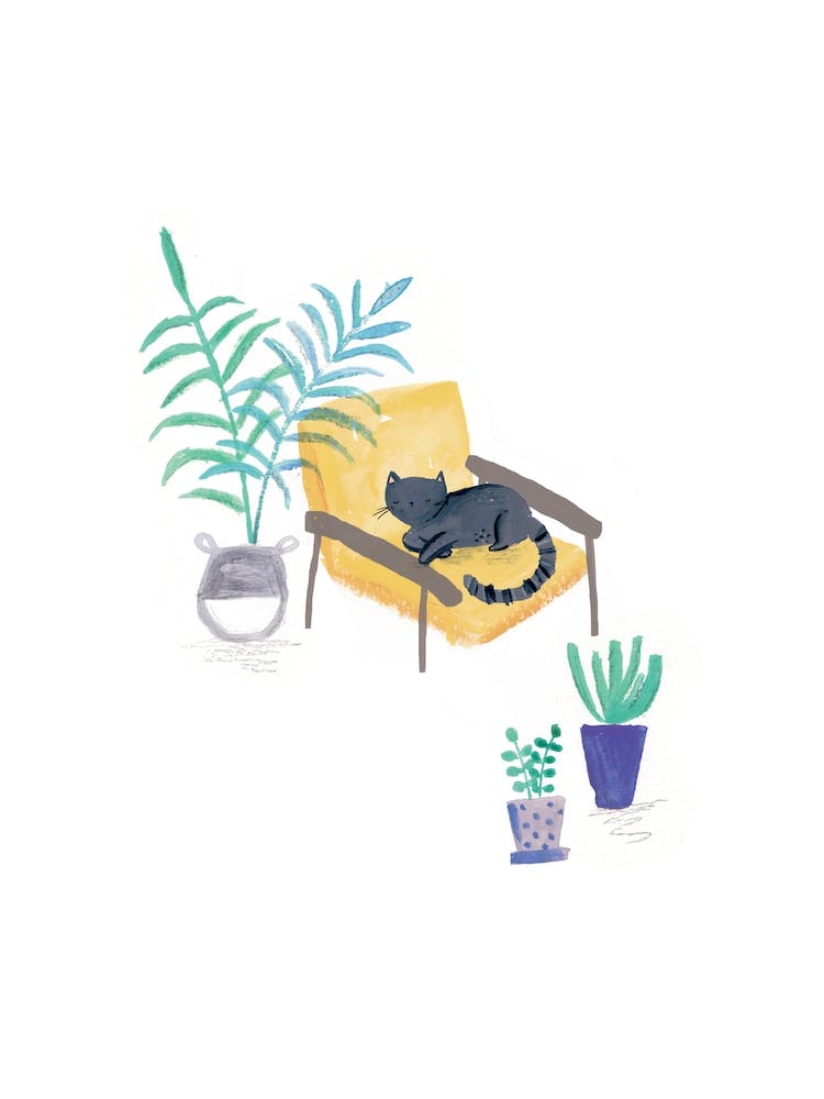 Chat Noir Peint dans une Chaise Scandi