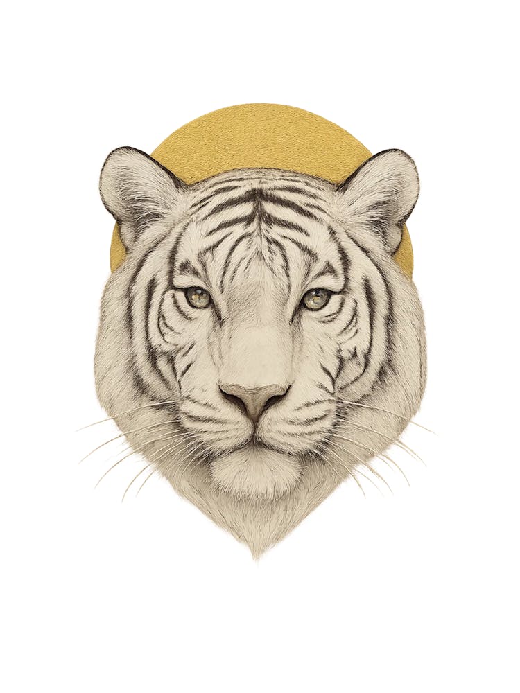 White Tiger 7