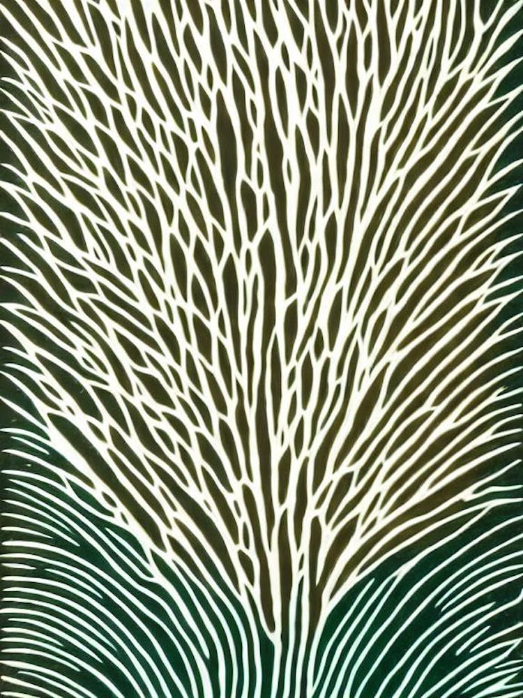 Acropora Digitifera Linocut