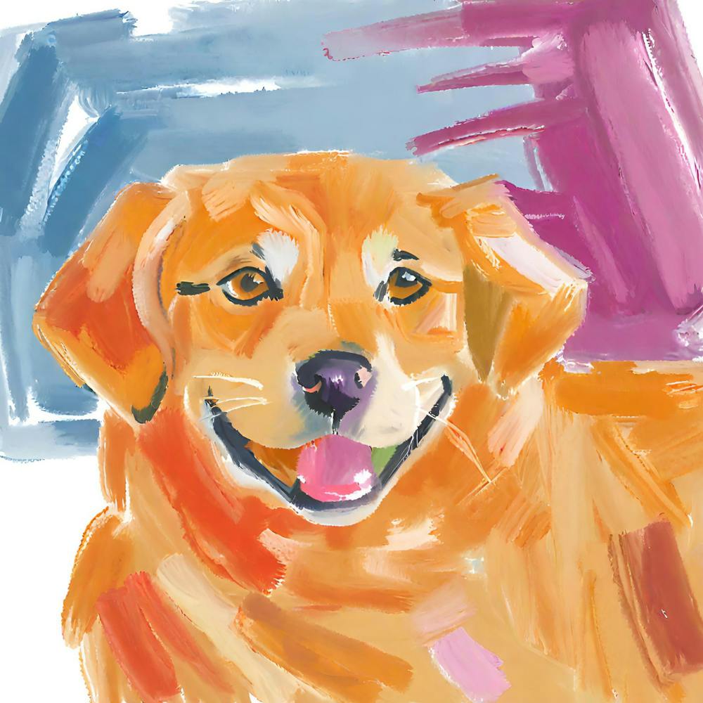 Golden Retriever 01