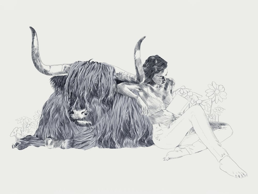 A Wandering Bull A Taurus Study