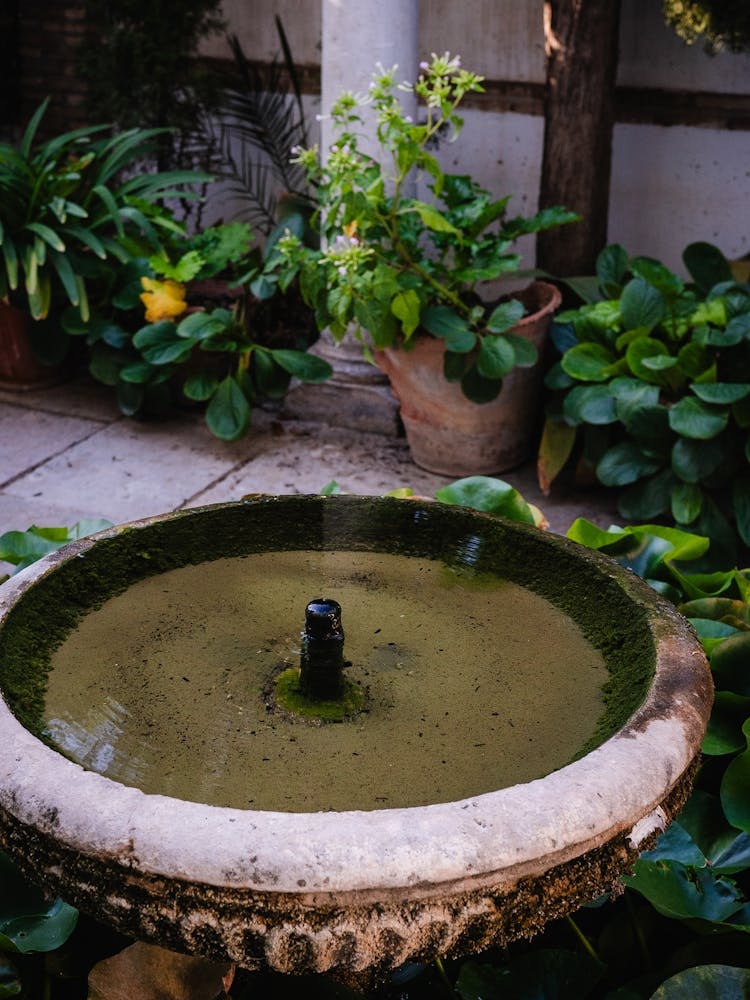 Garden Water, Granada, Spain
