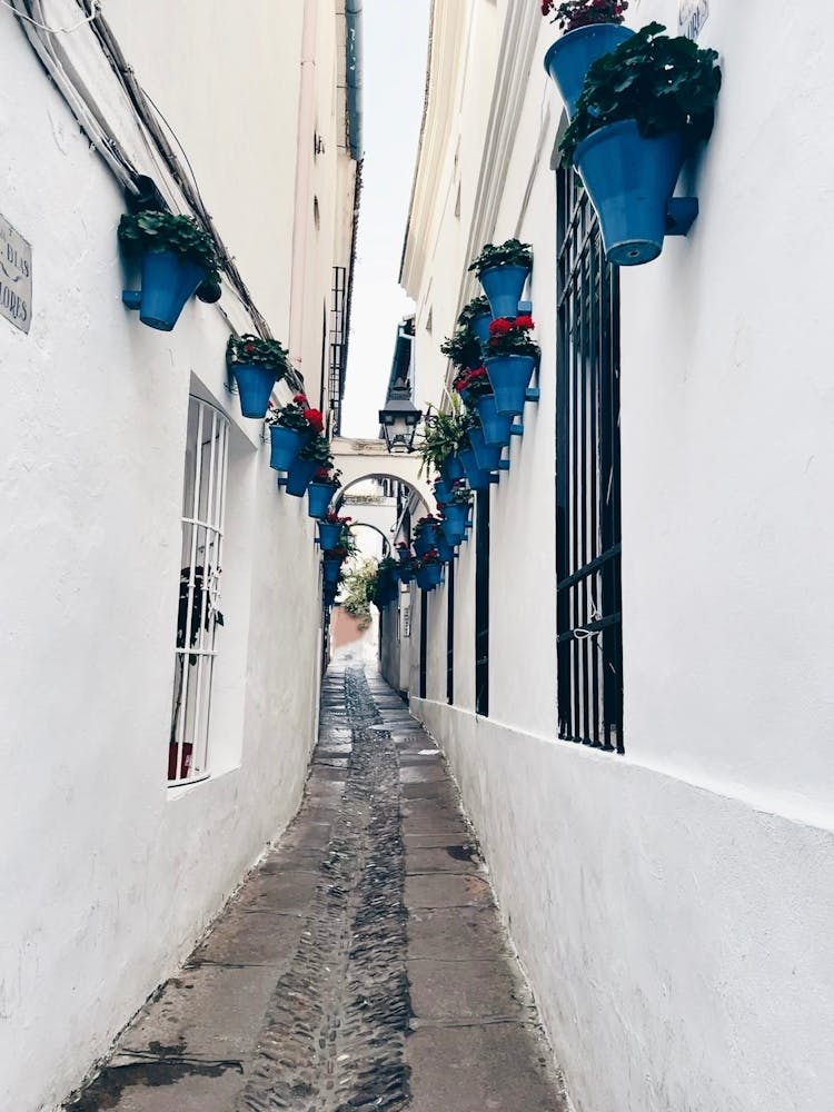 Narrow Alley With Blue Pots In Córdoba