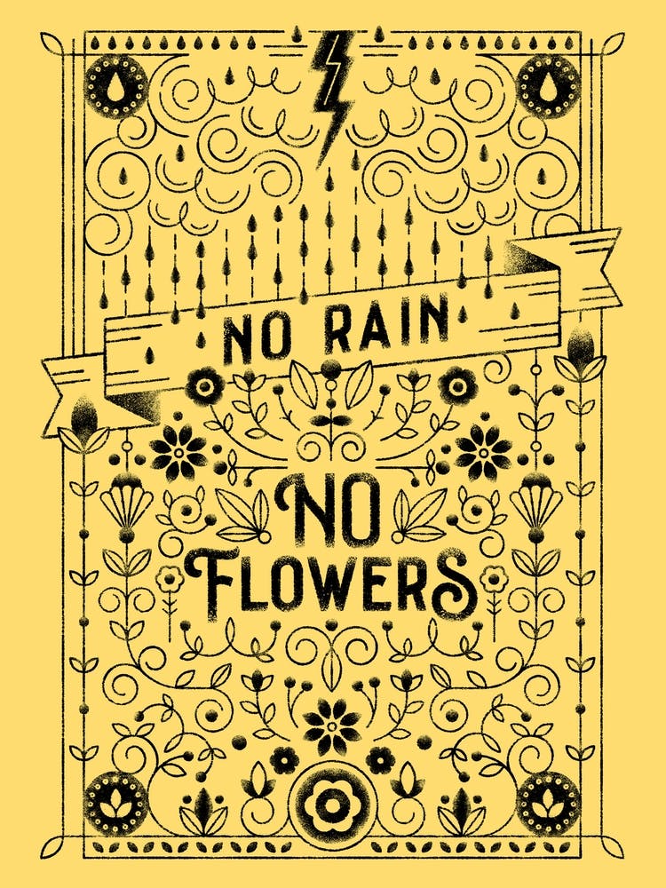 Flowers Rain  Nature