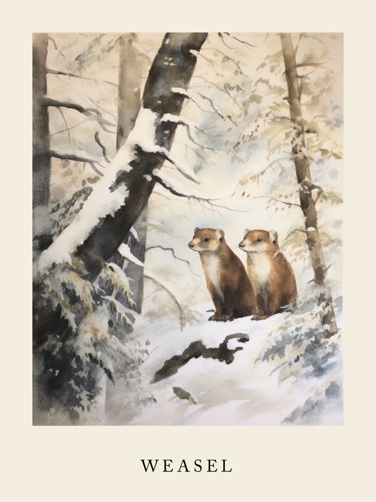 Winter Aquarell Wiesel 4 Poster