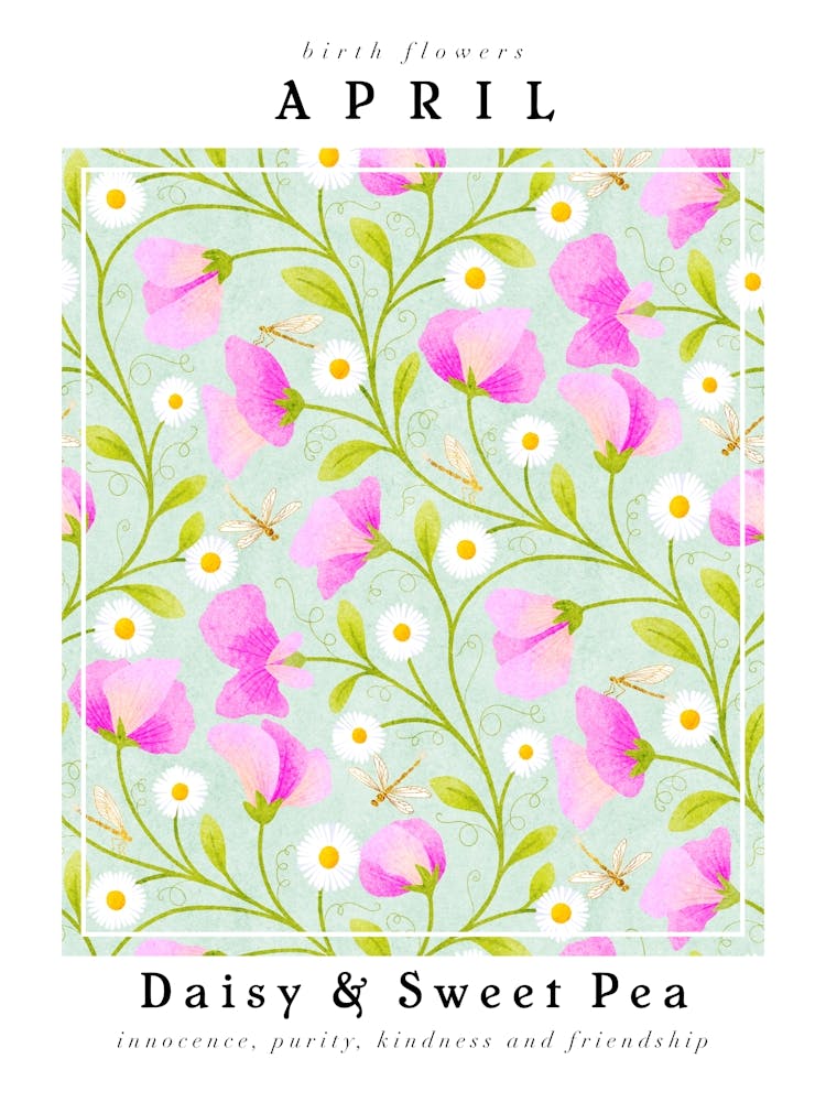 April Geburtsblumen Gänseblümchen & Wicke