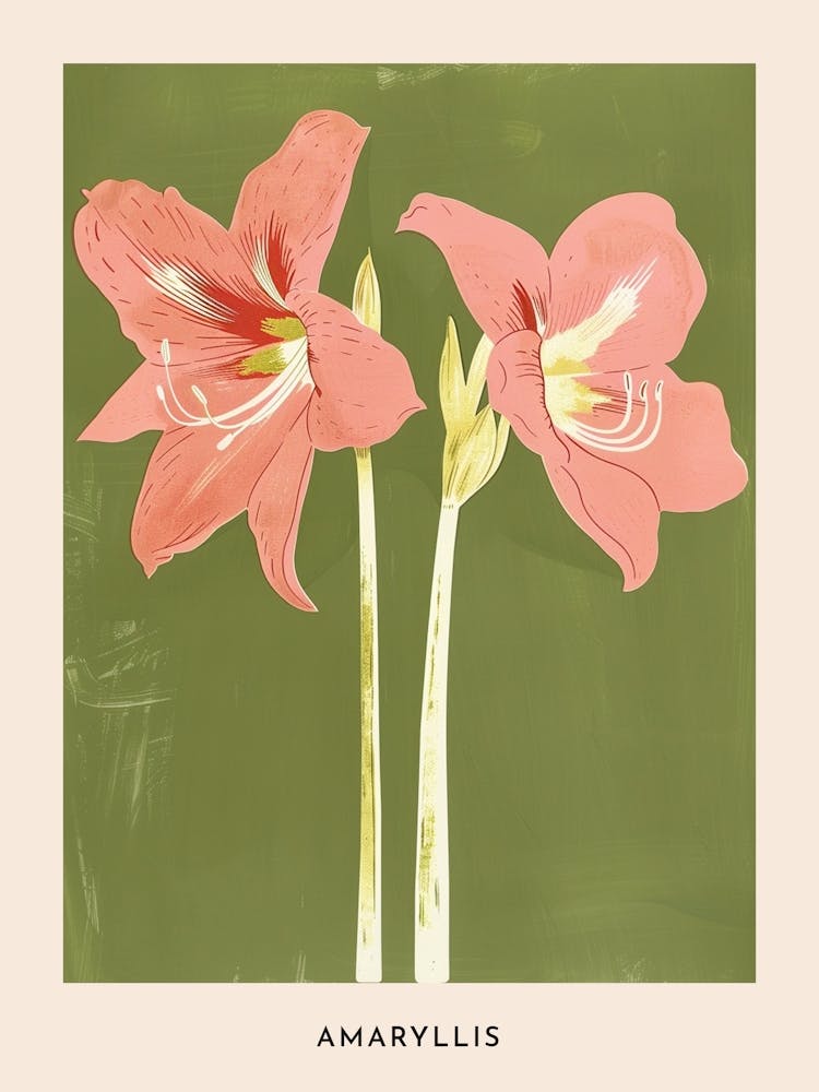 Amaryllis Rose & Vert 5 - Affiche Fleurie