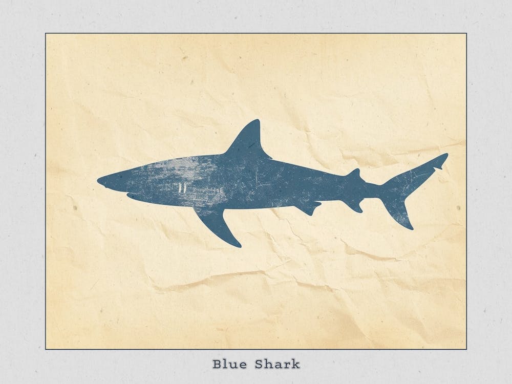 Blue Shark Grey Silhouette 2 Poster