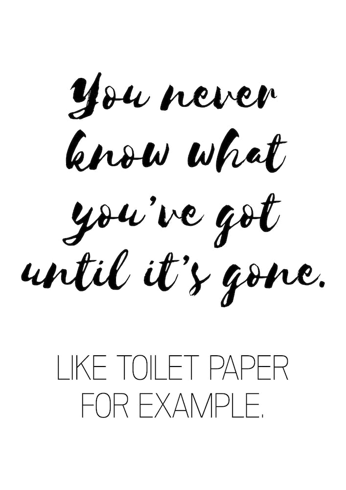 You Never Know What You've Got Like Toilet Paper