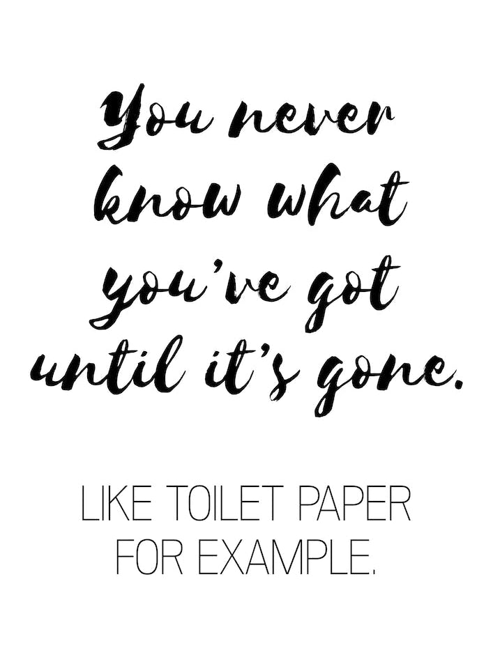 You Never Know What You've Got Like Toilet Paper