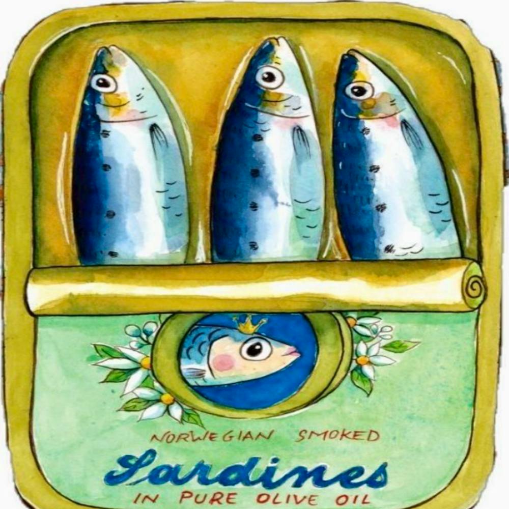 Sardines 15
