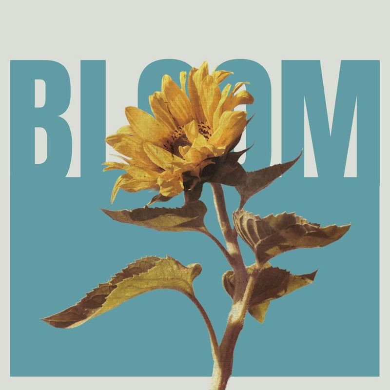 Bloom 2