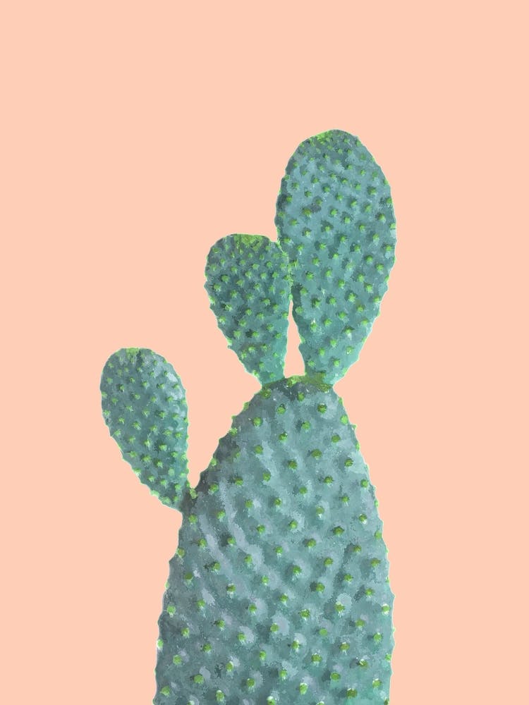 Cactus Pink Background