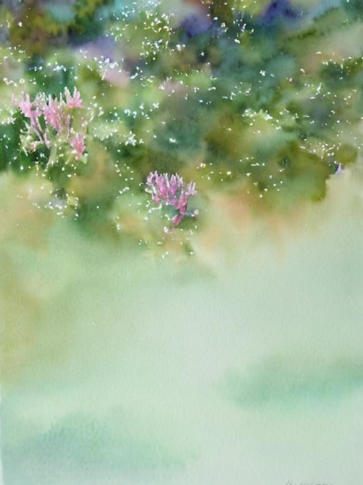 Acropora Austera Iiii Storybook Watercolour