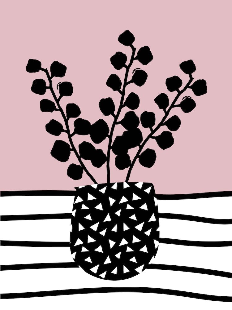 Eucalyptus Pink