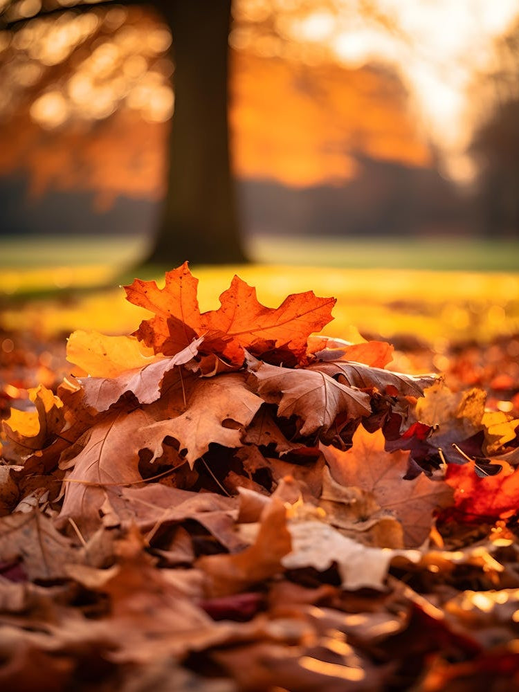 Pile of Autumn Leaves 1