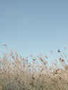 Landscape Photography Art Prints