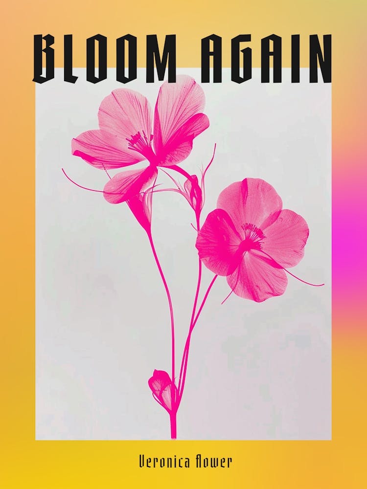 Hot Pink Veronica Flower 2 Poster