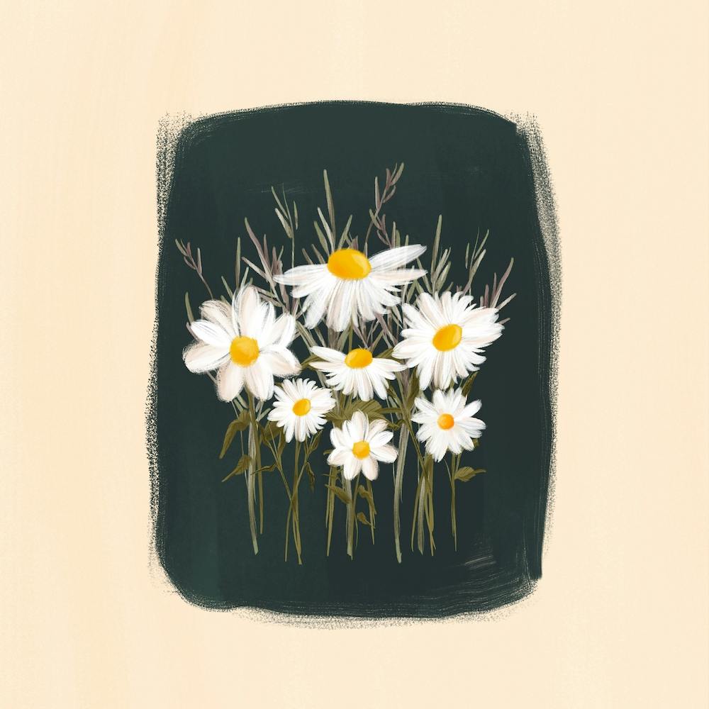 Elenas Daisies