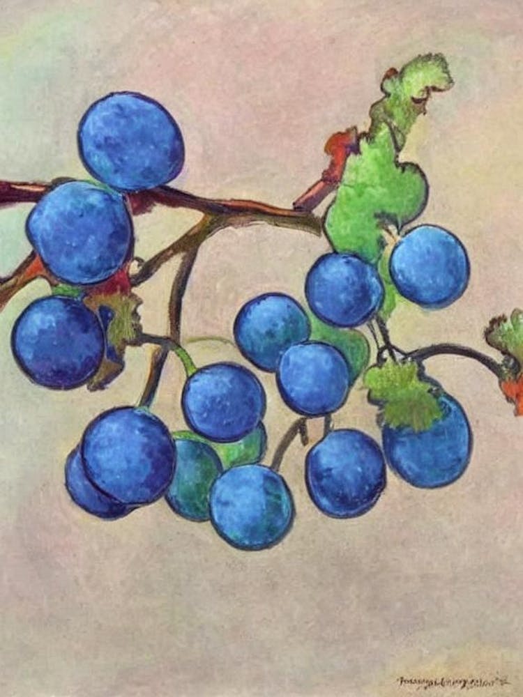 Grapes Vintage Sketch Fruit