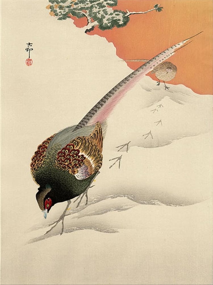 Pheasant, Ohara Koson