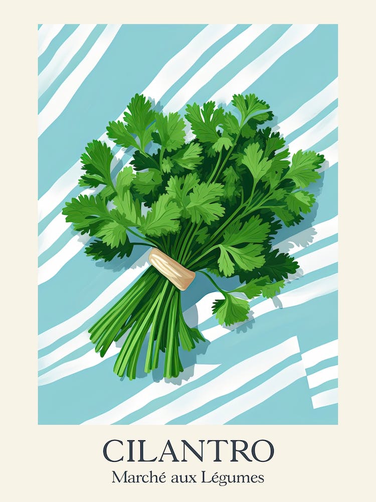 Marche Aux Legumes Cilantro Summer Illustration 8