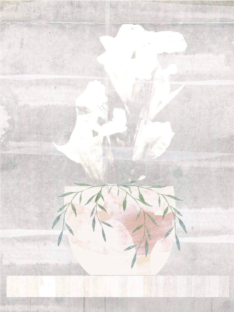 Terracotta Pot Plant