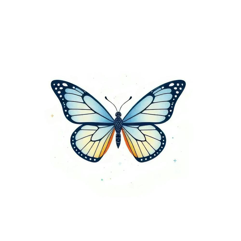 Butterfly 14