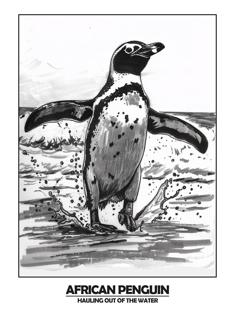 Pinguin Kommt aus dem Wasser Poster