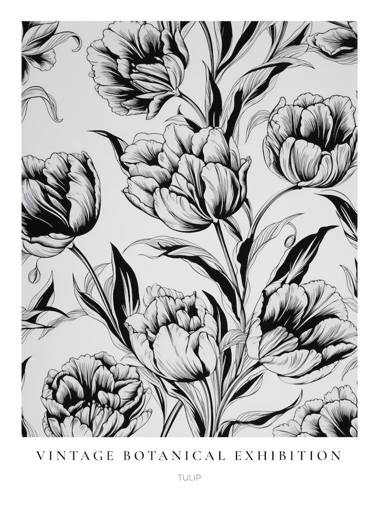 Tulip 2 B&W Vintage Botanical Poster