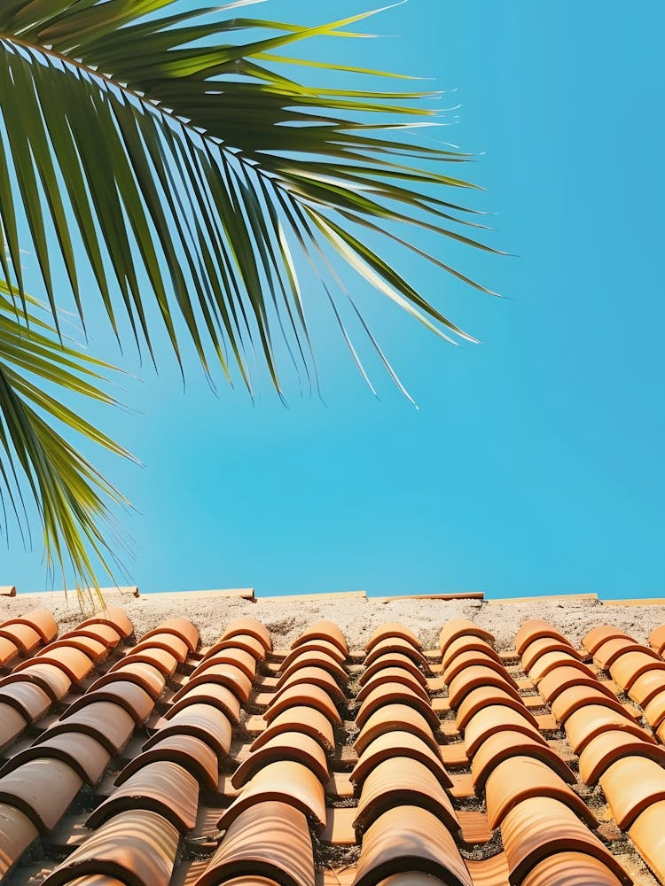 Tile Roof With Palm Tree