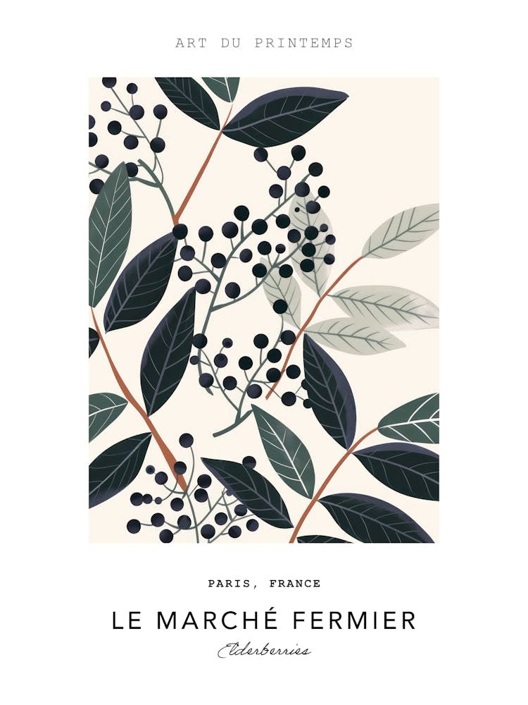 Elderberries Le Marche Fermier Poster 2