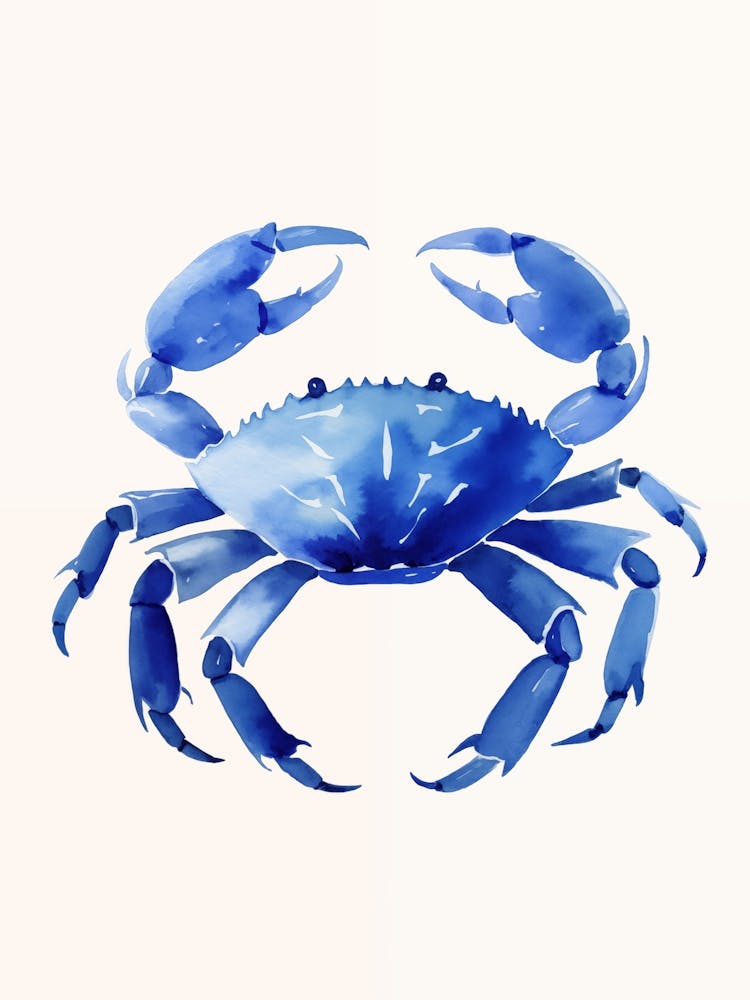 Blue Crab Food