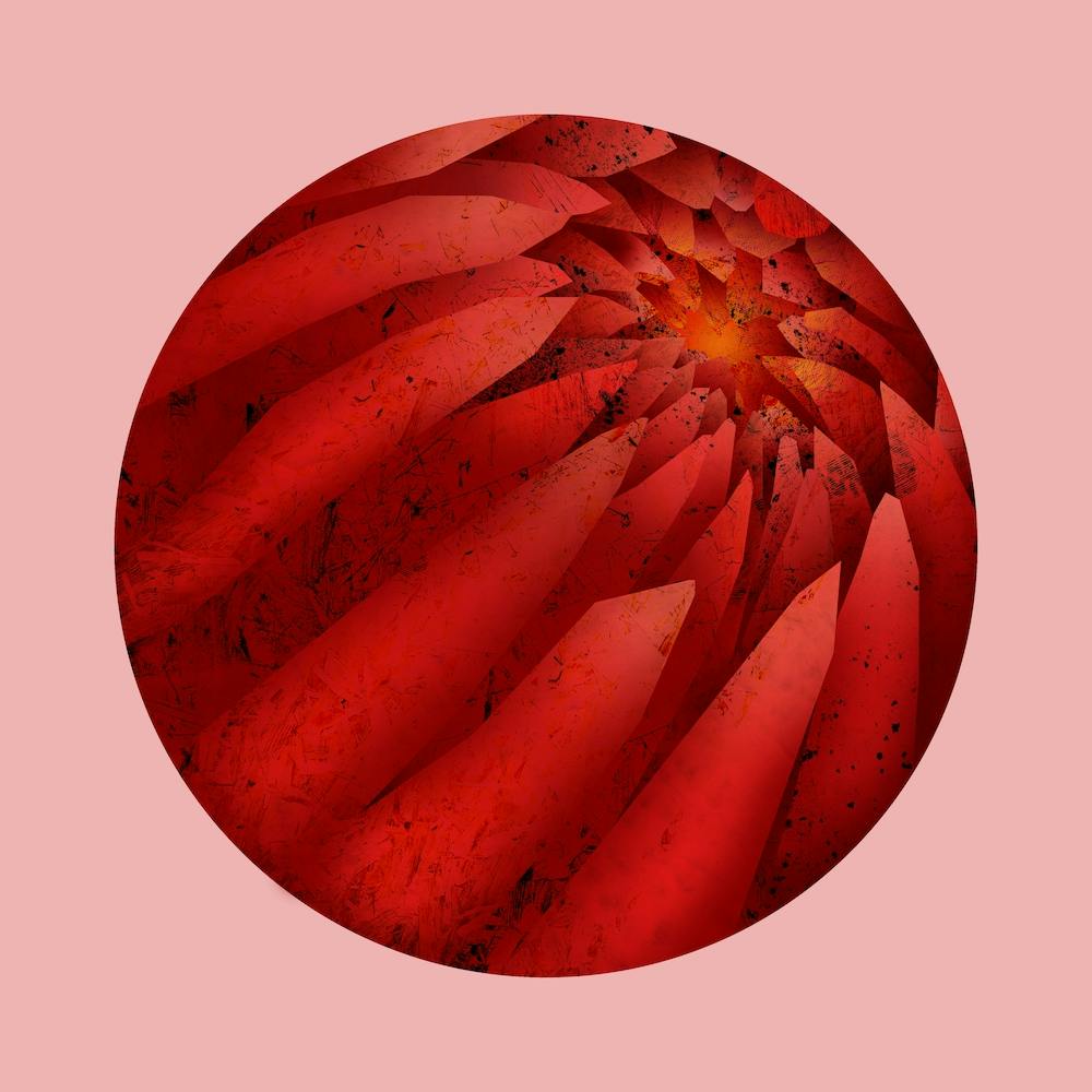 Dahlia