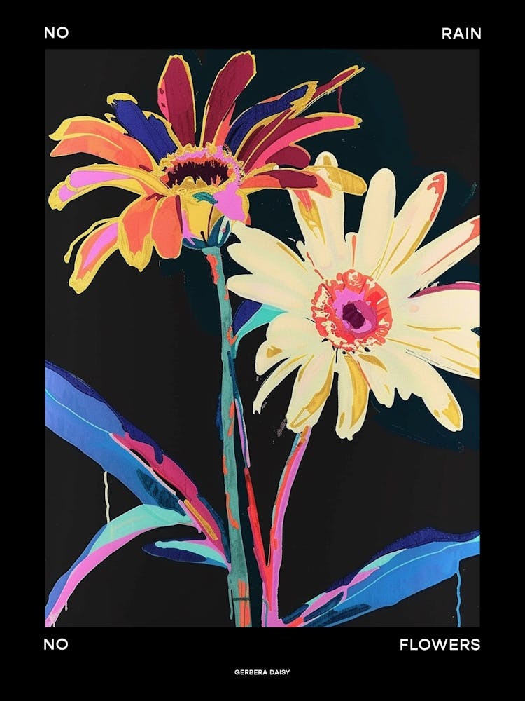 No Rain No Flowers Poster Gerbera Daisy 2