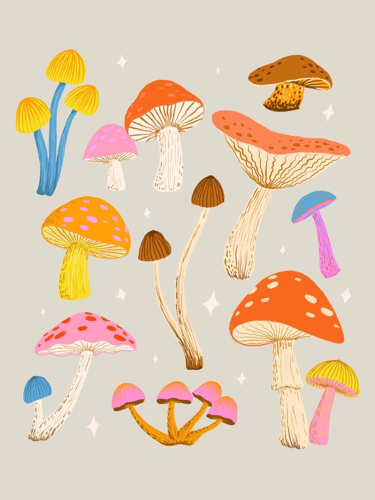 Colorful Mushrooms