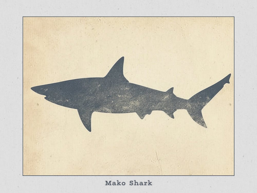 Mako Shark Grey Silhouette 5 Poster