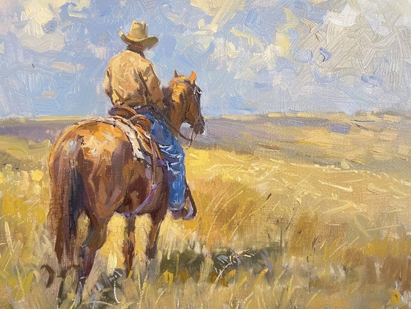 Cowboy In Great Plains 2
